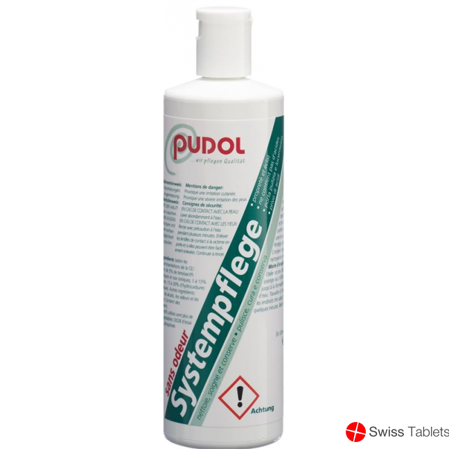 Pudol Systempflege Geruchlos 400g buy online