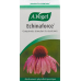 Vogel Echinaforce 400 Tabletten buy online