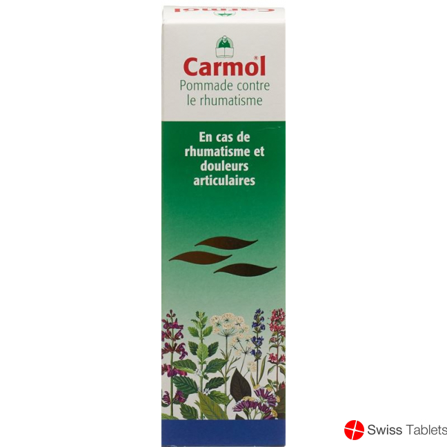 Carmol Rheumasalbe 80g buy online