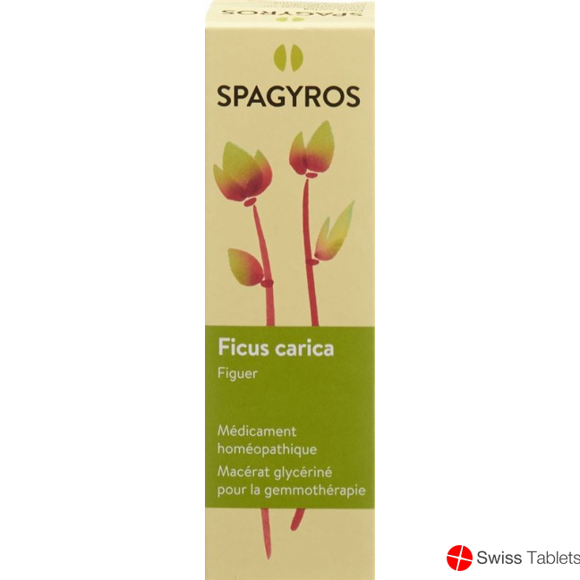 Spagyros Gemmo Ficus Carica Glyc Maz D 1 30ml buy online