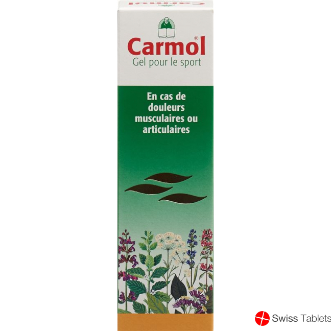 Carmol Sportgel 80ml buy online