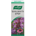 Vogel Halsschmerz Spray 30ml buy online