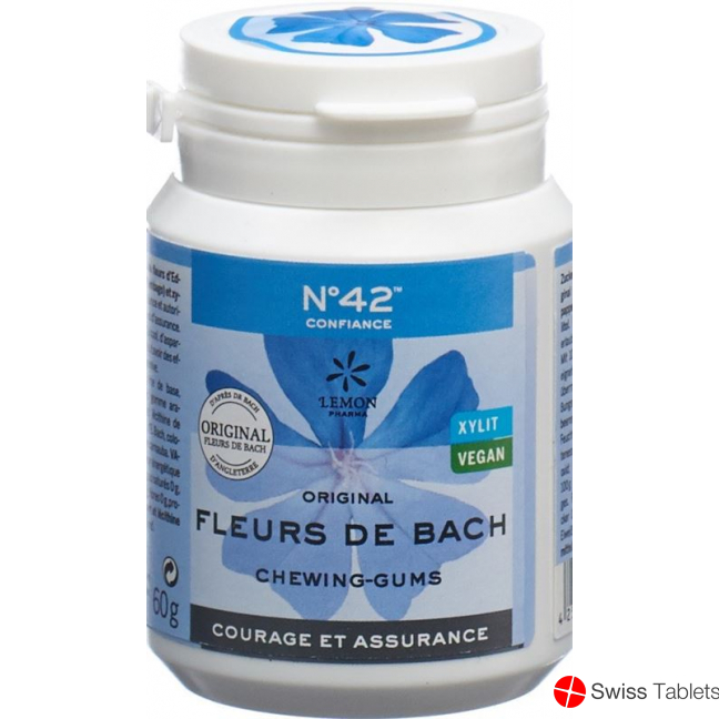 Dr. Bach Kaugummi für Selbstvertrauen Dose 60g buy online