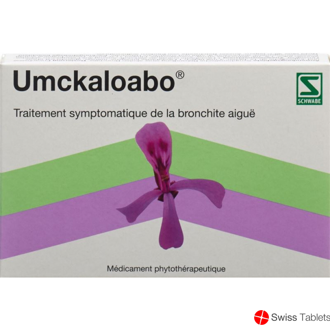 Umckaloabo Filmtabletten 30 Stück buy online