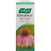 A. Vogel Echinaforce Hot drink hot drink 100 ml