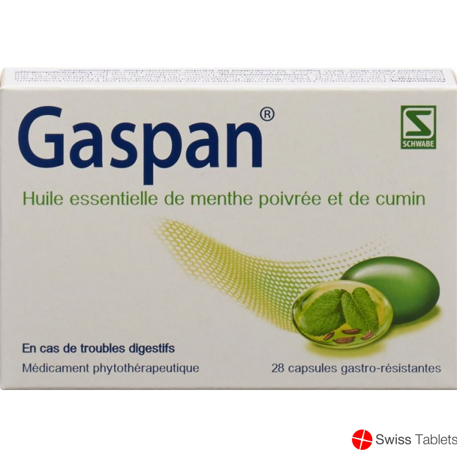 Gaspan Kapseln Magensaftresistent 28 Stück buy online