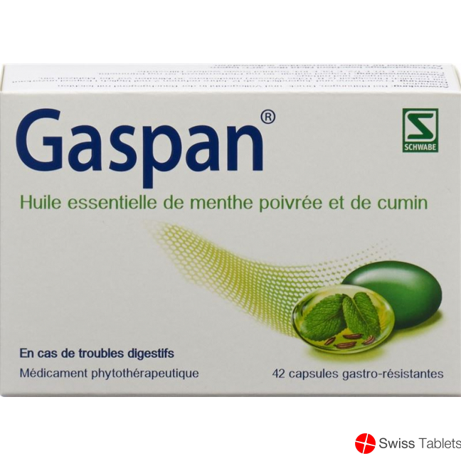 Gaspan Kapseln Magensaftresistent 42 Stück buy online