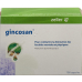 Gincosan Kaps 100 pcs