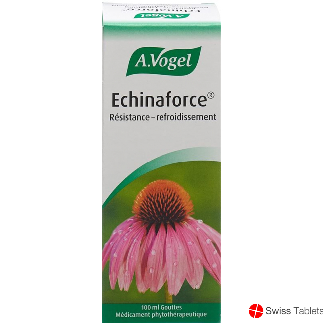 Vogel Echinaforce Resistenz-Erkältung Tropfen 100ml buy online