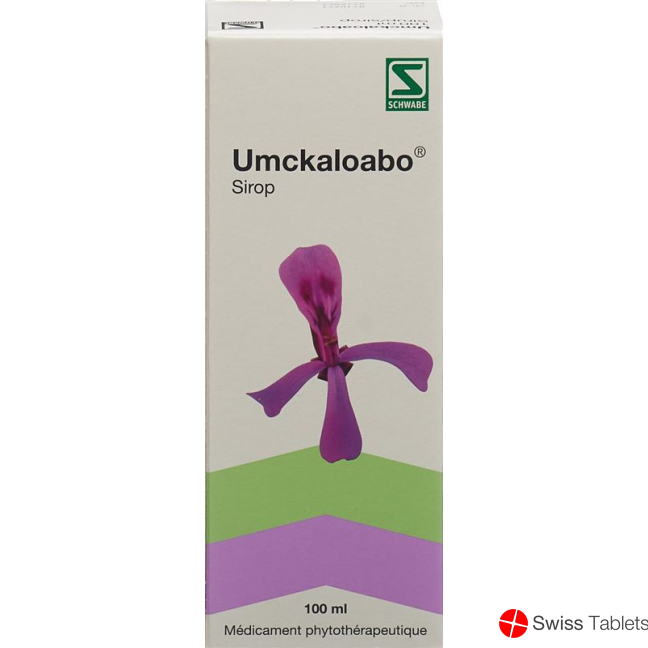 Umckaloabo Sirup Flasche 100ml buy online