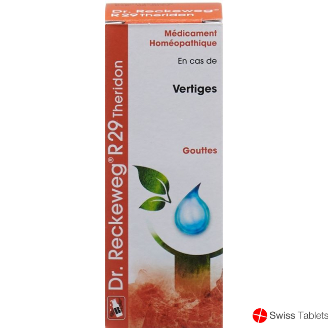 Reckeweg R29 Theridon Tropfen Flasche 50ml buy online