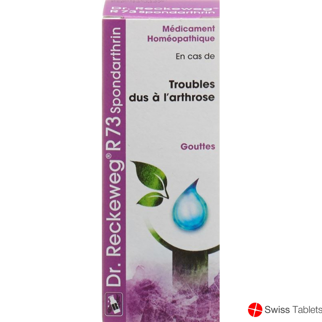 Reckeweg R73 Spondarthrin Tropfen Flasche 50ml buy online