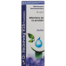 Reckeweg R25 Prostatan Tropfen Flasche 50ml buy online
