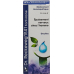 Reckeweg R41 Fortivirone Tropfen Flasche 50ml buy online