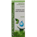 Reckeweg R64 Nephralbin Tropfen Flasche 50ml buy online