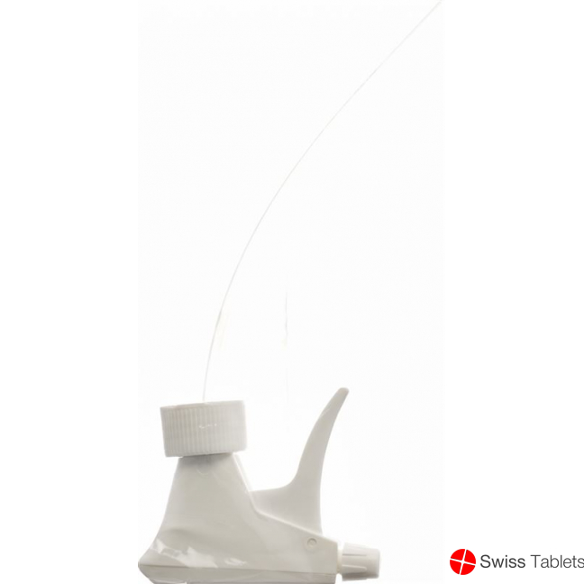 Hartmann Zerstäuber für 500ml Flasche buy online