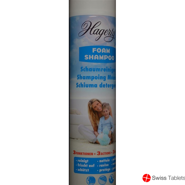 Hagerty Shampoo Schaum Aeros Spray 600ml buy online