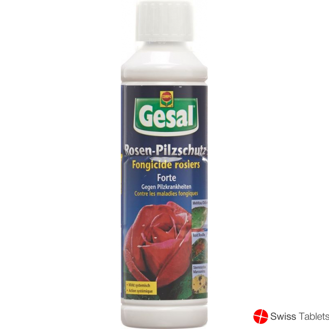 Gesal Rosen Pilzschutz Forte 250ml buy online