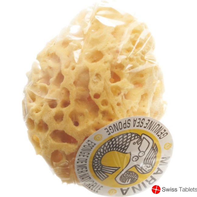 Marina natural sponge Venise 14cm buy online