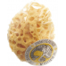 Marina natural sponge Venise 14cm buy online