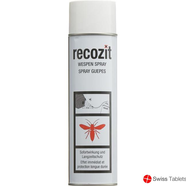 Recozit Wespen Spray 500ml buy online