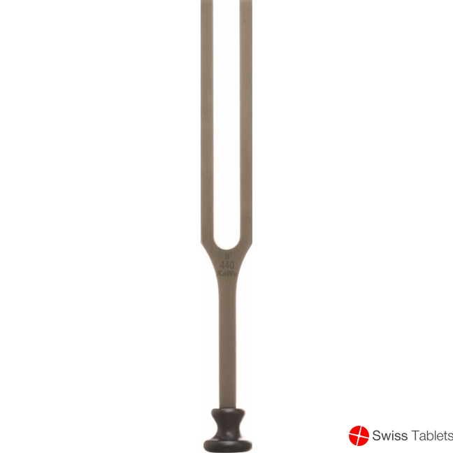 KaWe tuning fork A1 440 Hz with plastic base buy online