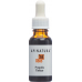 Apinatura Propolis Tinktur 20ml buy online