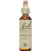 Bachblüten Agrimony Nr. 1 Flüssig 20ml buy online