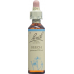 Bachblüten Beech Nr. 3 Flüssig 20ml buy online