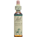 Bach-Blüten Centaury Nr. 4 20ml buy online