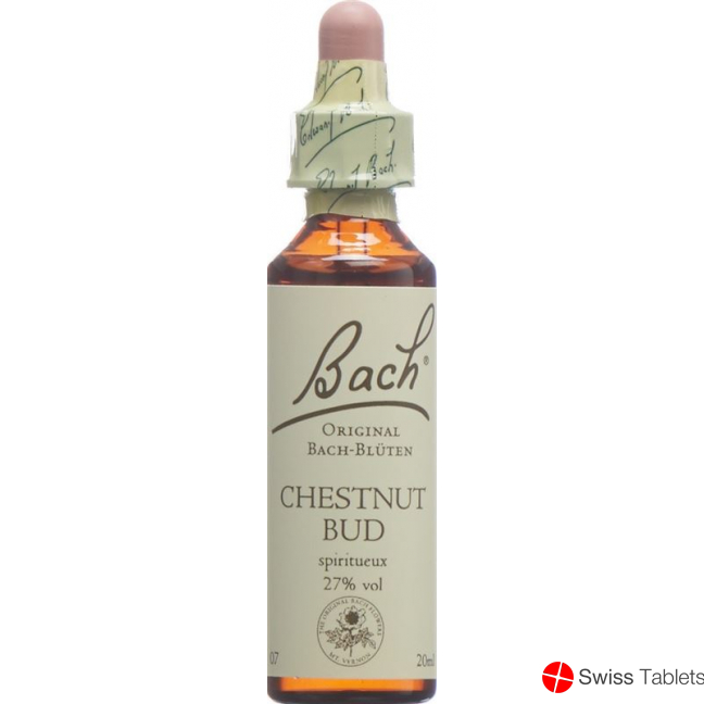 Bachblüten Chestnut Bud Nr. 7 Flüssig 20ml buy online
