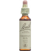 Bachblüten Chestnut Bud Nr. 7 Flüssig 20ml buy online