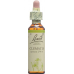 Bachblüten Clematis Nr. 9 Flüssig 20ml buy online
