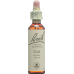 Bachblüten Elm Nr. 11 Flüssig 20ml buy online