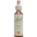 Bachblüten Gorse Nr. 13 Flüssig 20ml buy online