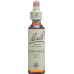 Bach-Blüten Original Hornbeam Nr.17 20ml buy online