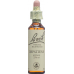 Bachblüten Impatiens Nr. 18 Flüssig 20ml buy online