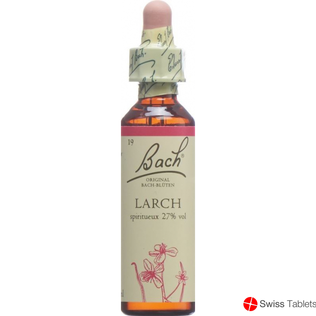 Bachblüten Larch Nr. 19 Flüssig 20ml buy online