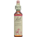 Bachblüten Larch Nr. 19 Flüssig 20ml buy online