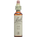 Bachblüten Oak Nr. 22 Flüssig 20ml buy online