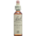 Bach-Blüten Original Rock Rose Nr.26 20ml buy online