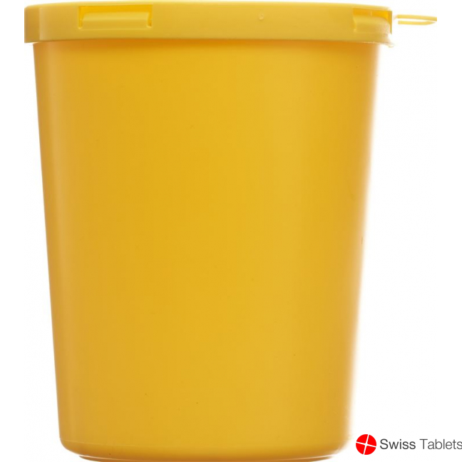 E Safe Entsorgungsbox 1.64 L Standard buy online