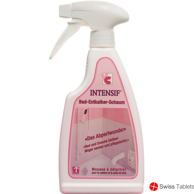 Intensif Bad Entkalker Schaum Liquid 500g buy online