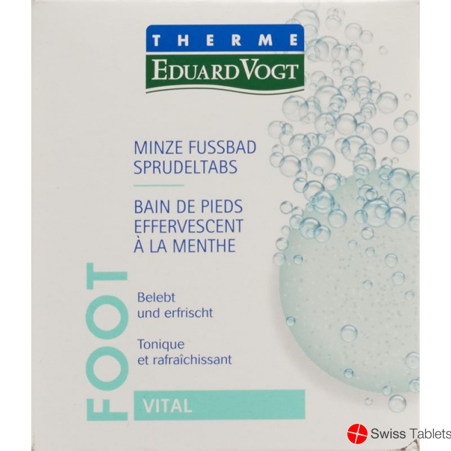 Therme Eduard Vogt Minze Fussbad 6x 30g buy online