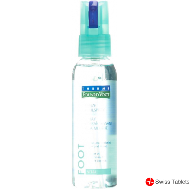 Therme Eduard Vogt Minze Kühlspray 100ml buy online