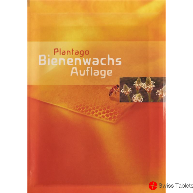Plantago beeswax pad buy online