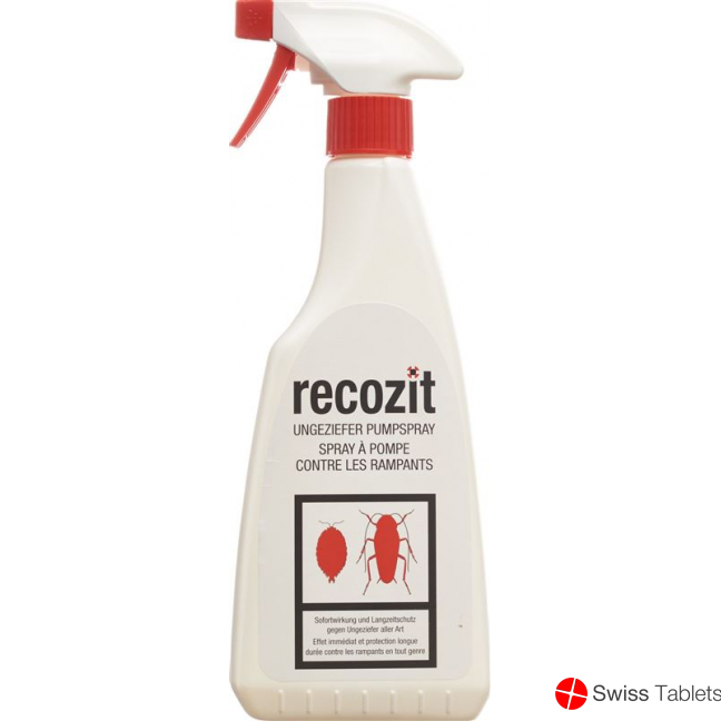 Recozit Ungeziefer Pumpspray 500ml buy online
