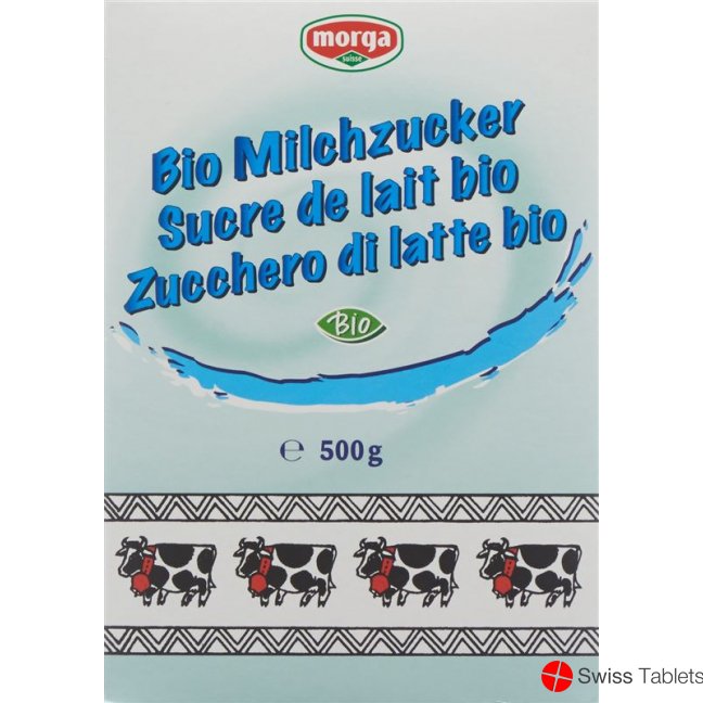 Morga Milchzucker Bio 500g buy online