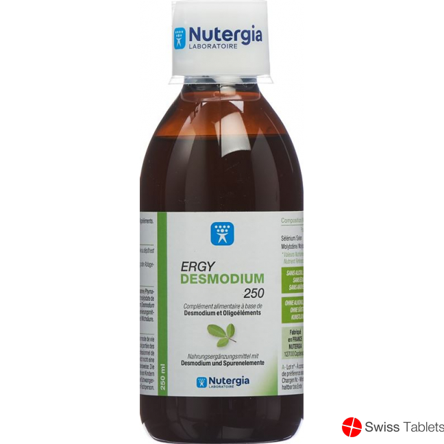 Nutergia Ergydesmodium Flasche 250ml buy online