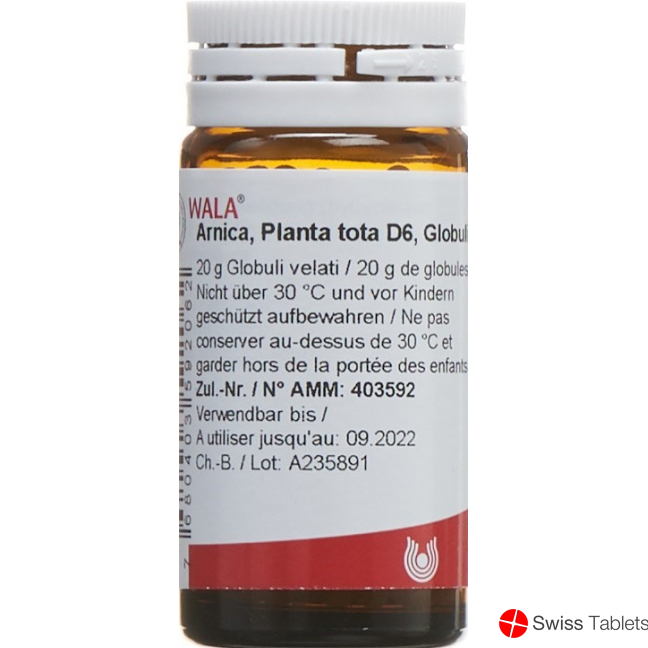 Wala Arnica E Planta Tota Globuli D 6 Flasche 20g buy online